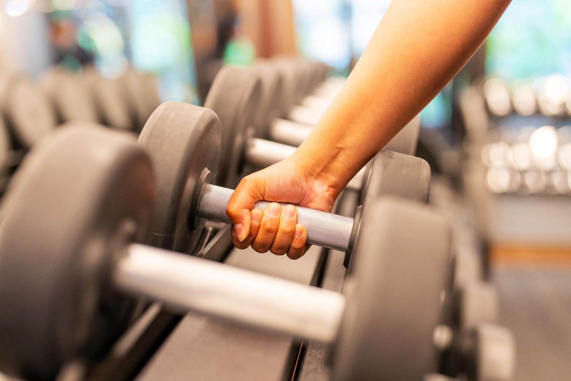 מלון Rosewood סאו פאולו מראה חיצוני תמונה Dumbbells on a rack